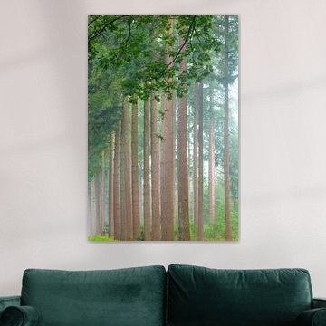 Sonnenaufgang am frühen Morgen in einem Kiefernwald von Sjoerd van der Wal Fotografie