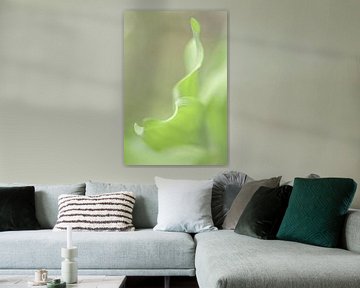 Groen blad / botanisch van Photography art by Sacha