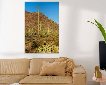 Landschapsimpressie van Saguaro National Park van Melanie Viola