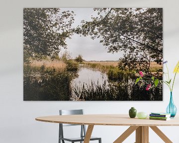 Landschap in Weerribben van Gerlinda Lassche