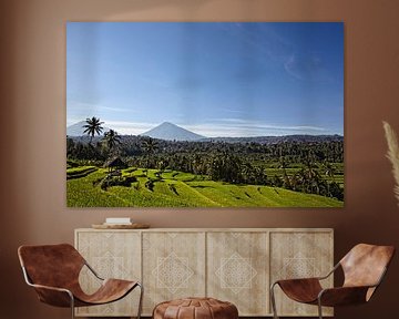 Munduk, Bali. Entouré de tous côtés par une végétation dense de la jungle, il y a des terrasses d'un sur Tjeerd Kruse