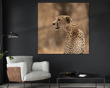 Portret van een Cheetah. van Sjaak Kooijman