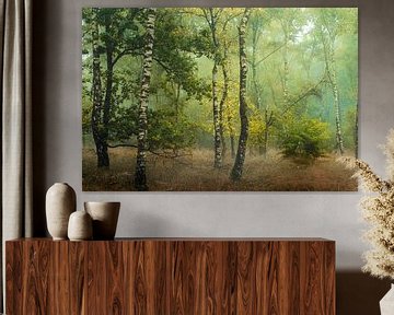 Birkenbäume im Herbst von Kees van Dongen