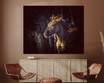 Pferd im goldenen Licht von Maneschijn FOTO