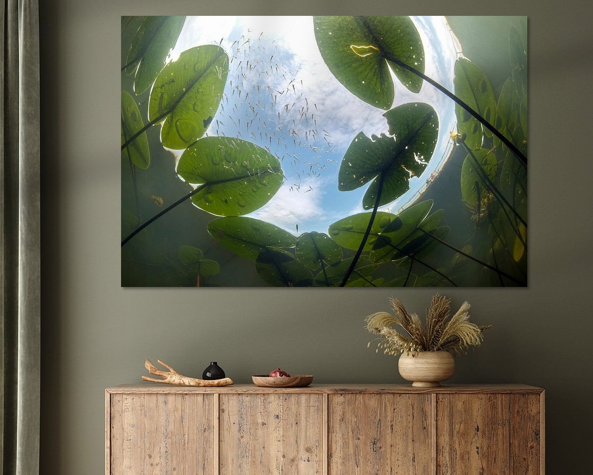 Voorbeeld van het werk in een kamer