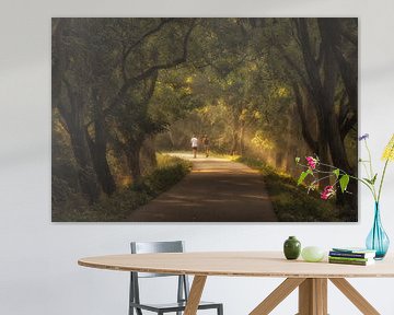 Hardlopers tussen de walnotenbomen in de Betuwe van Moetwil en van Dijk - Fotografie