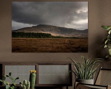 Die magischen Berge von Mayo von Bo Scheeringa Photography