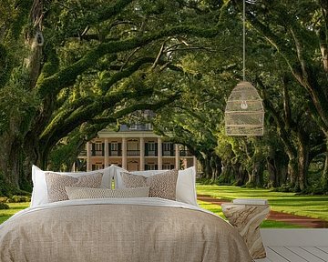 Oak Alley Plantation panorama