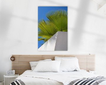 Feuilles de palmier, ciel bleu et mur blanc 1
