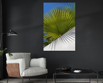 Palmbladeren, blauwe lucht en witte muur 2 van Adriana Mueller