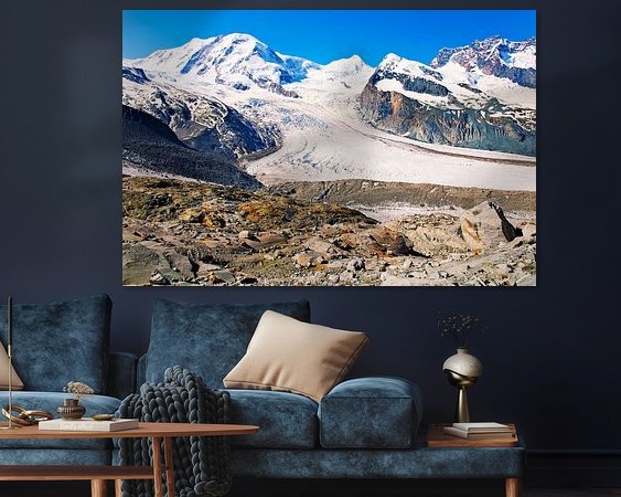 Aperçu de la chambre