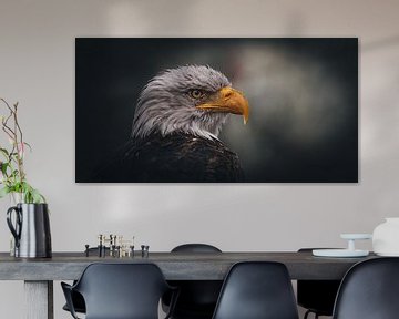 American bald eagle by Maurice Cobben