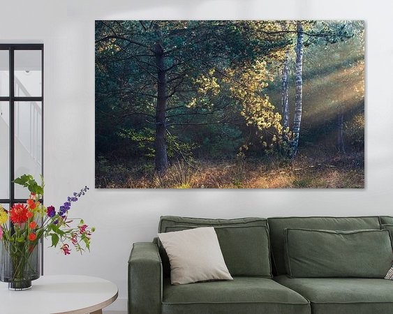 Aperçu de la chambre