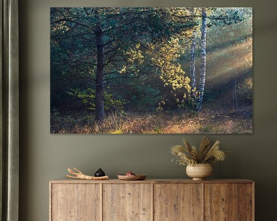 Aperçu de la chambre