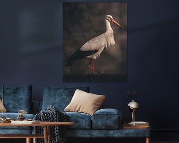 Stork by Maurice Cobben