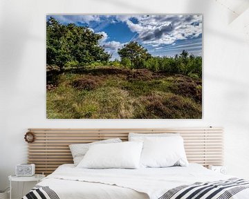 North German beach heath landscape