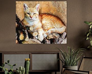 Hogarty The Ginger Cat van Dorothy Berry-Lound