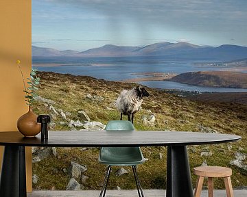 Uitzicht vanaf  Achill Island, Ierland