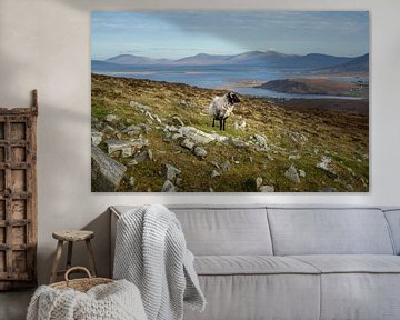 Uitzicht vanaf  Achill Island, Ierland van Bo Scheeringa Photography