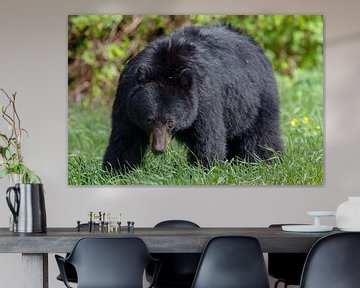 Grote zwarte beer  van Menno Schaefer
