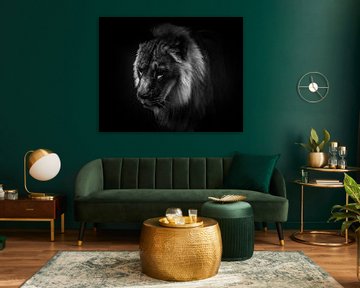 Portrait d'un lion sur Bild.Konserve