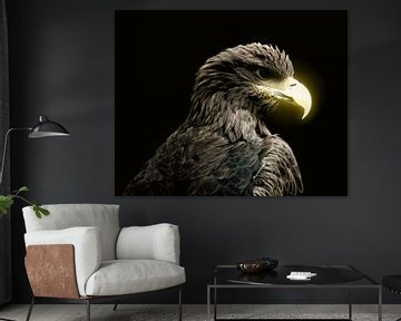 Tierportrait Adler mit Glow-Effect von Bild.Konserve