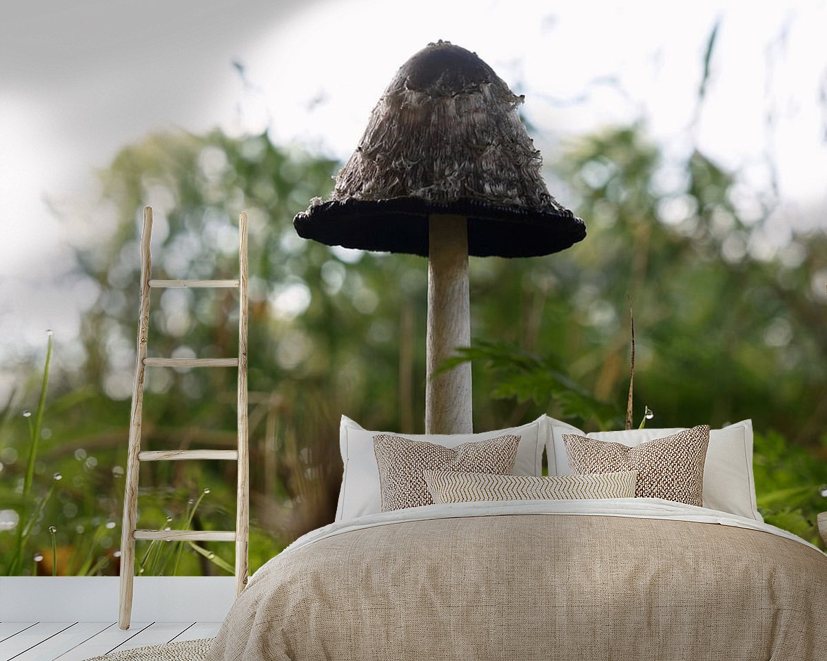 Raumvorschau