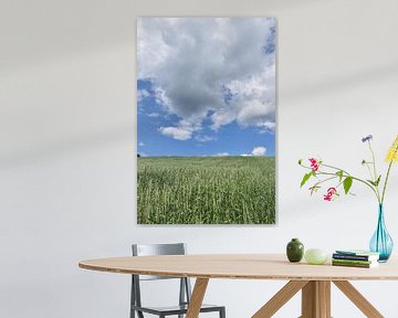 An oat field under a cloudy sky by Claude Laprise