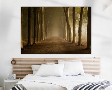 Avenue de la forêt dans la brume sur KB Design & Photography (Karen Brouwer)