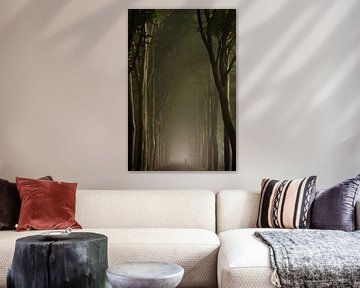 Dark foggy forest avenue with a hiker with dog by KB Design & Photography (Karen Brouwer)