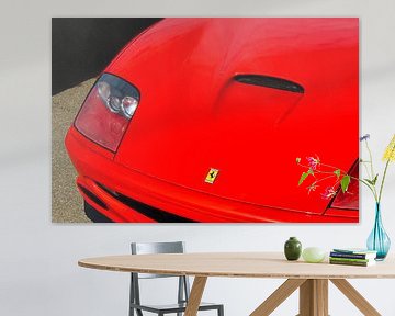 Ferrari 550 Maranello van Sjoerd van der Wal