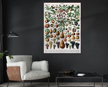 Alillot,Illustration de variétés de fruits