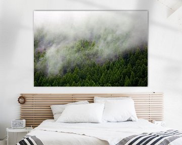 Misty forest by Anton de Zeeuw