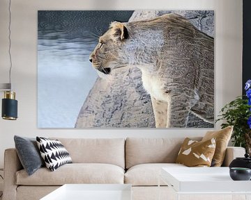 Leeuw met loerende blik kijkt uit over het water van Ans Houben