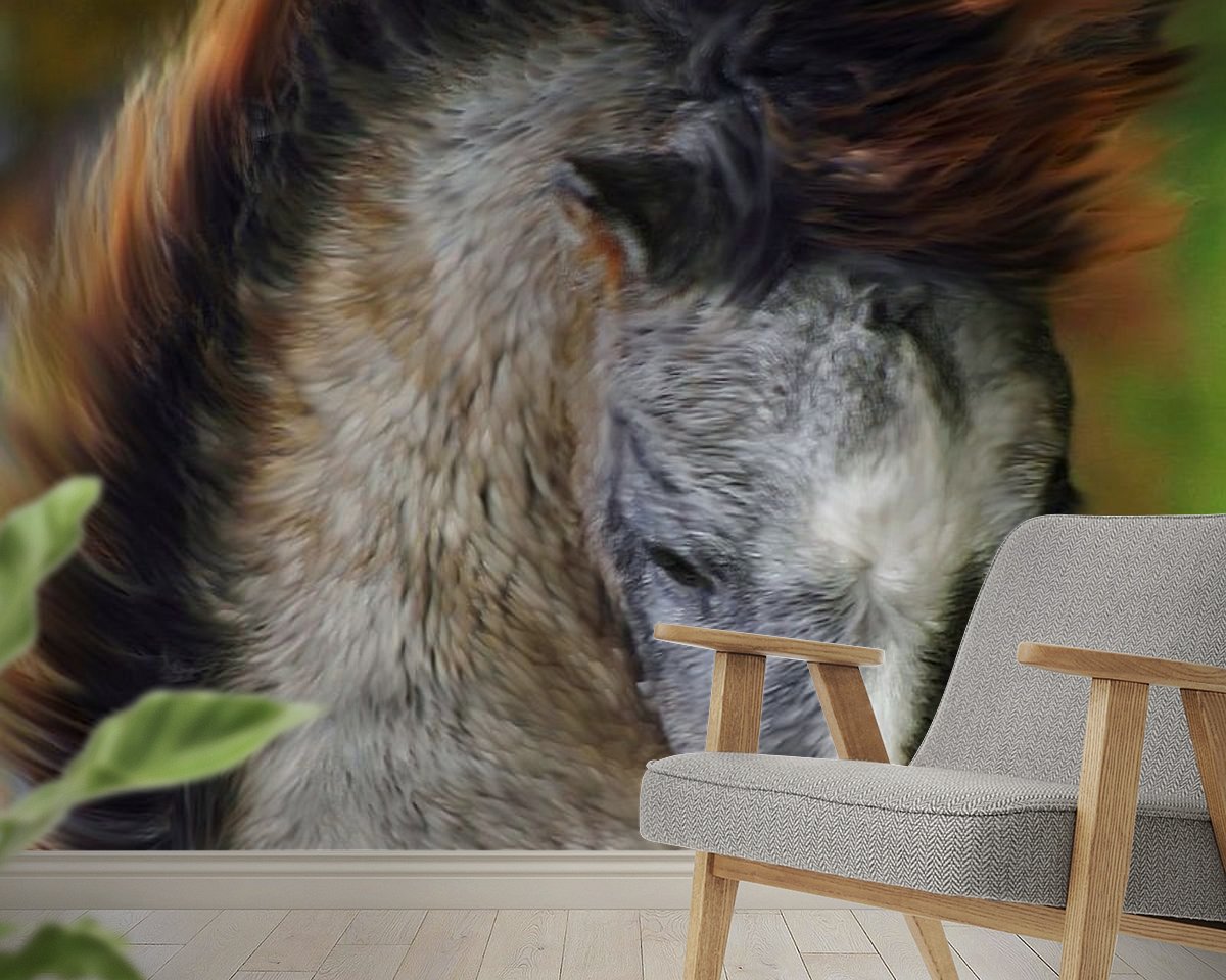 Raumvorschau