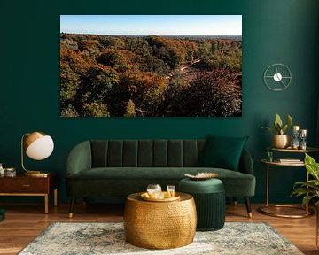 Herfstkleuren over de Utrechtse Heuvelrug