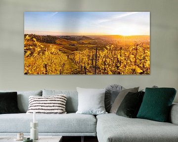 Vineyards in Stuttgart at sunset by Werner Dieterich