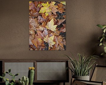 Feuilles d'automne 2 sur Dorothy Berry-Lound