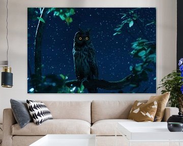 Long-eared owl with glowing eyes watching the surroundings at night by Besa Art
