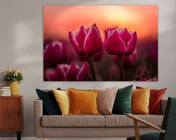 Tulips by Markus Schulz