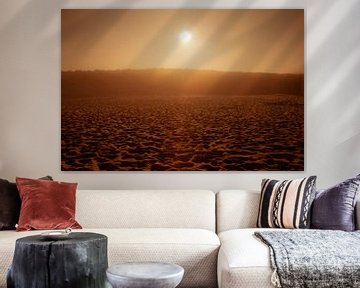 Autumn sun in the dunes of Noordwijk by Yanuschka | Noordwijk Fine Art Fotografie