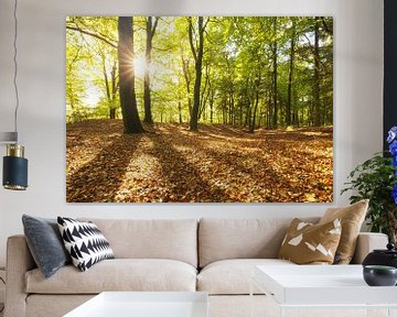 Herbst-Nationalpark Dwingelderveld (Niederlande) von Marcel Kerdijk