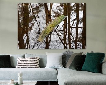 Stuk hout in regenplas van whmpictures .com