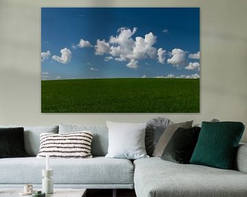 Prachtige wolken in een blauwe lucht boven een groen veld van Patrick Verhoef