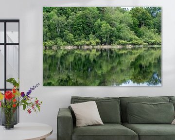 The lake in the forest by whmpictures .com