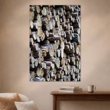 Afgezaagde boomstammen aan de rand van het bos