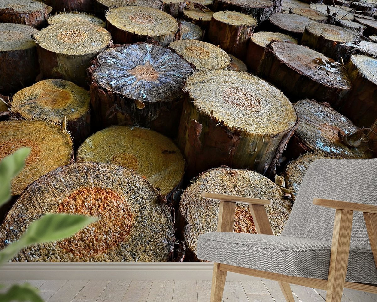 Raumvorschau