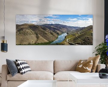 Côa Valley near Douro by Stefan Havadi-Nagy