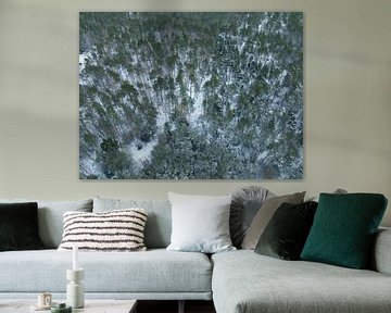 Snowy pine tree forest during springtime seen from above by Sjoerd van der Wal Photography