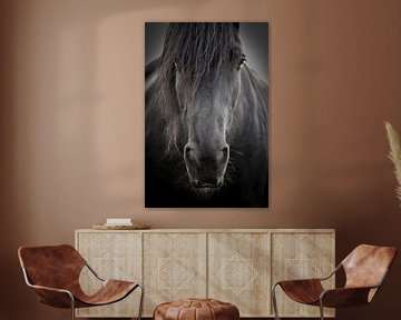 Portret van een zwart paard van SonjaFoersterPhotography